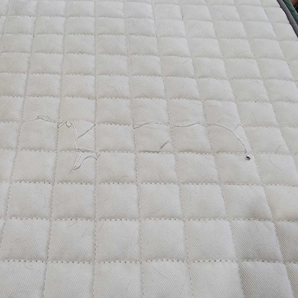 Centaur saddle pad - Picture 10 of 12